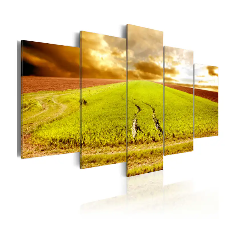 Tavla Arkiio Wheels Traces On A Field