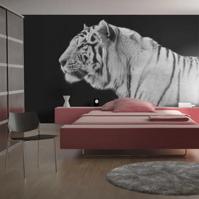 Fototapet Arkiio Vit Tiger