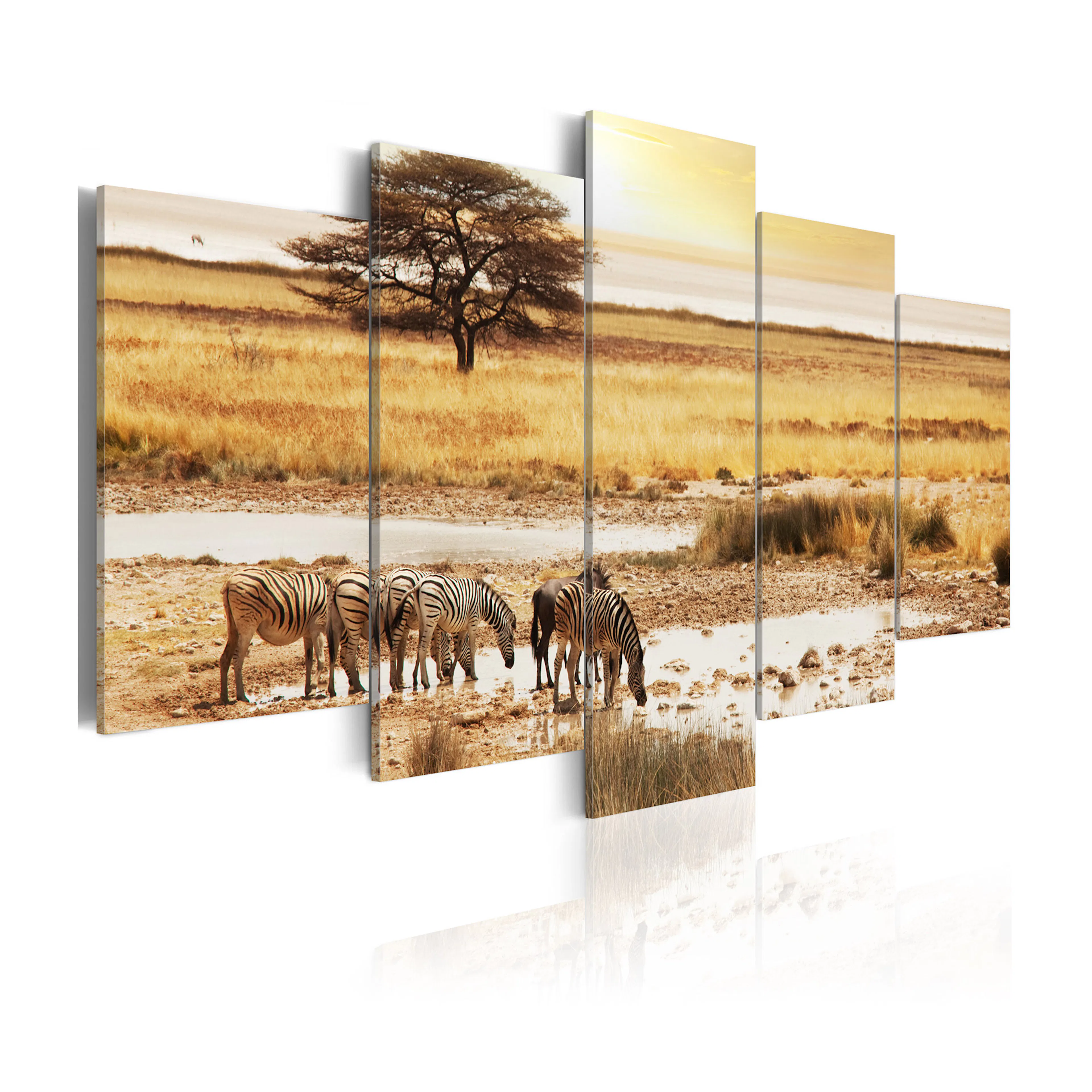 Tavla Arkiio Zebras On A Savannah