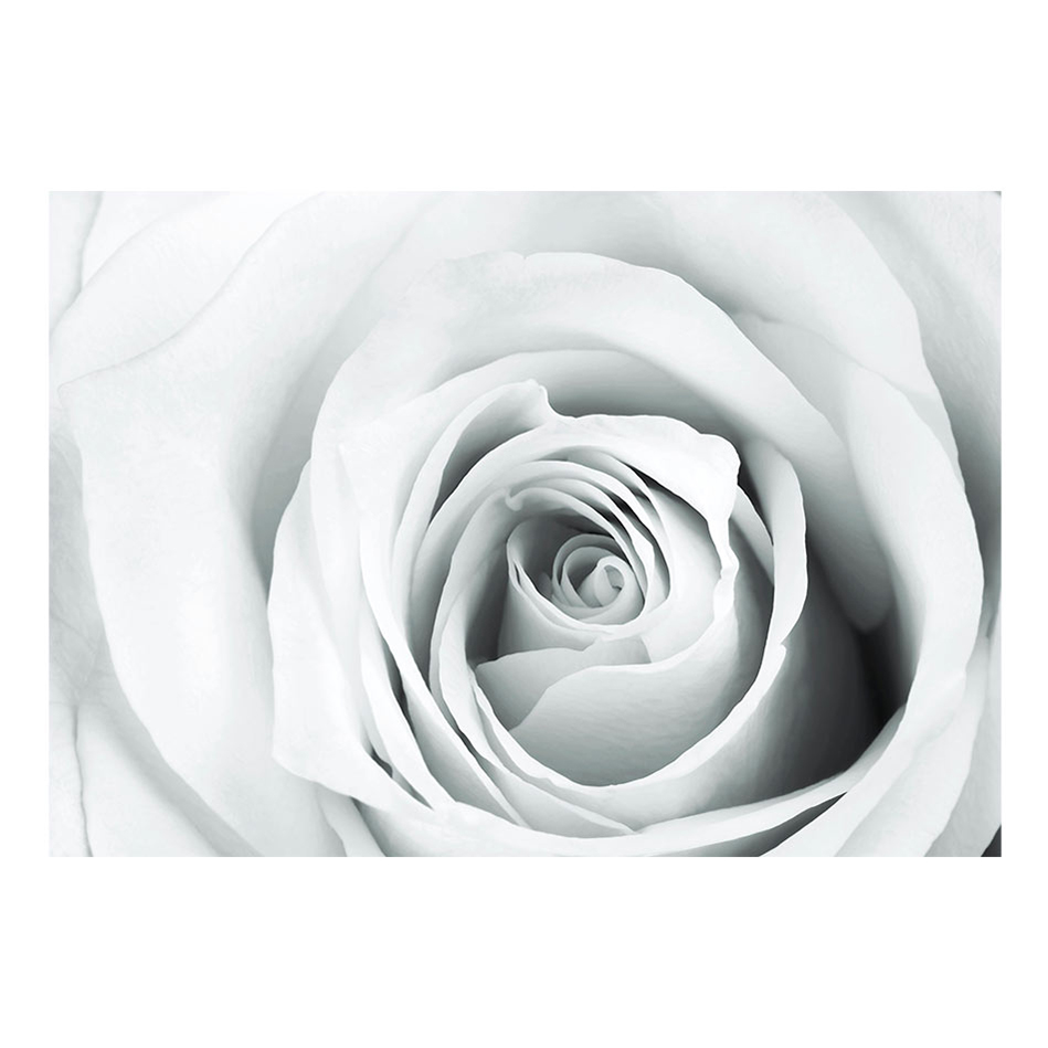Fototapet Arkiio Rose Charade