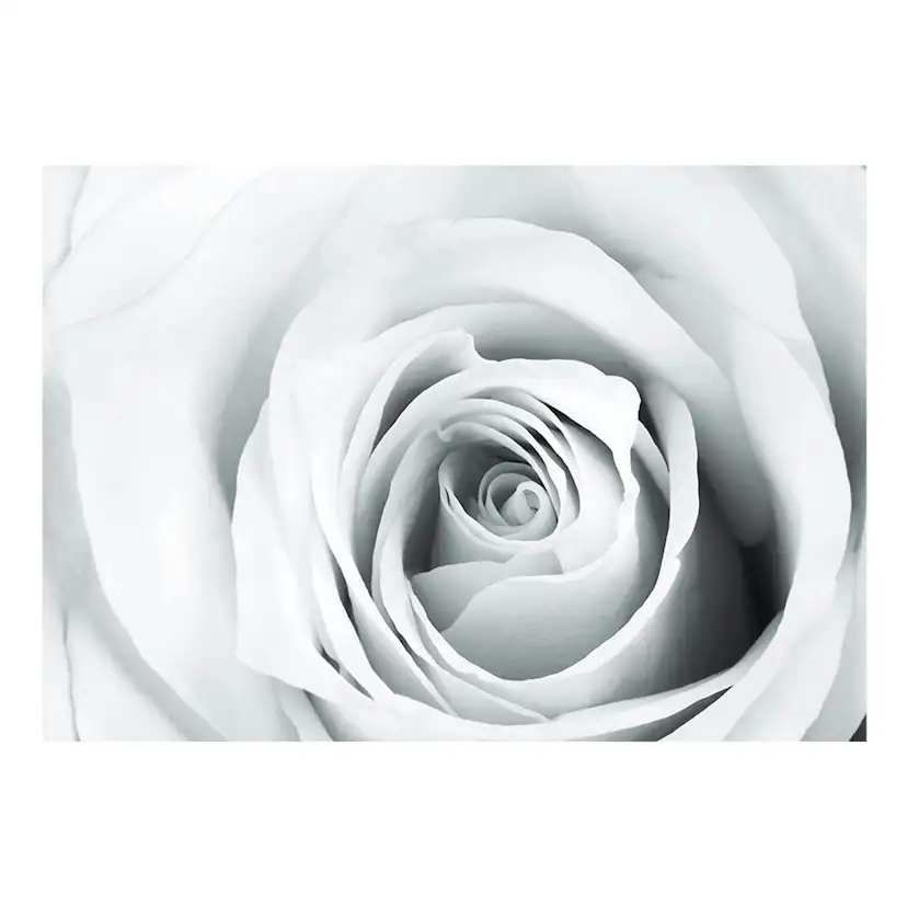 Fototapet Arkiio Rose Charade