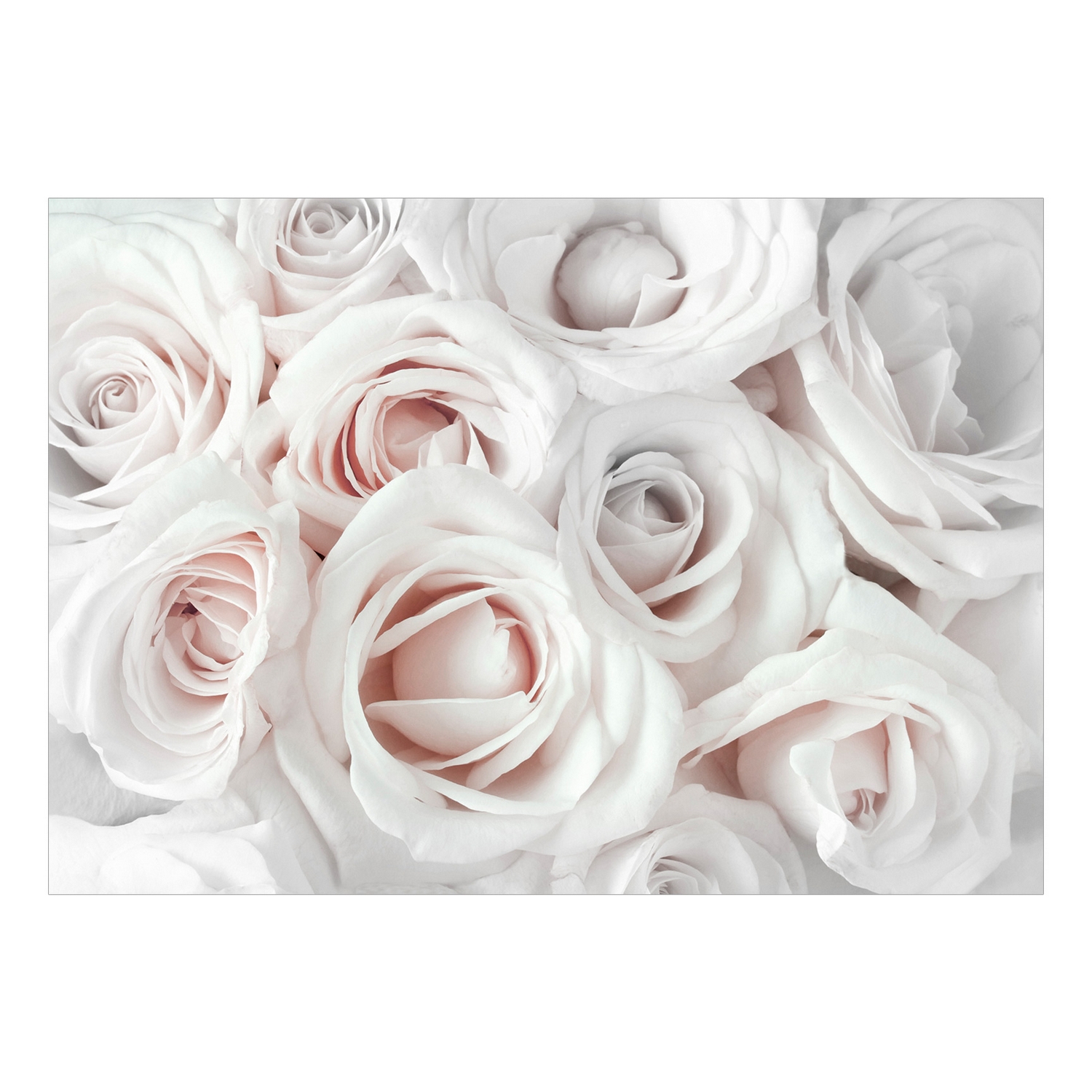 Fototapet Arkiio Självhäftande Satin Rose Pink