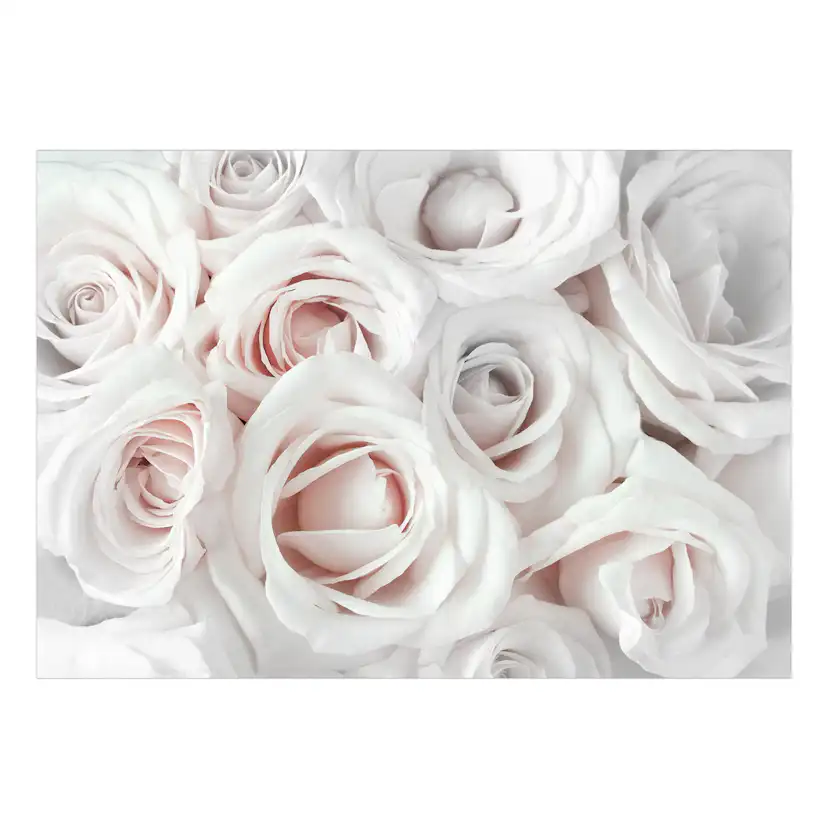 Fototapet Arkiio Självhäftande Satin Rose Pink