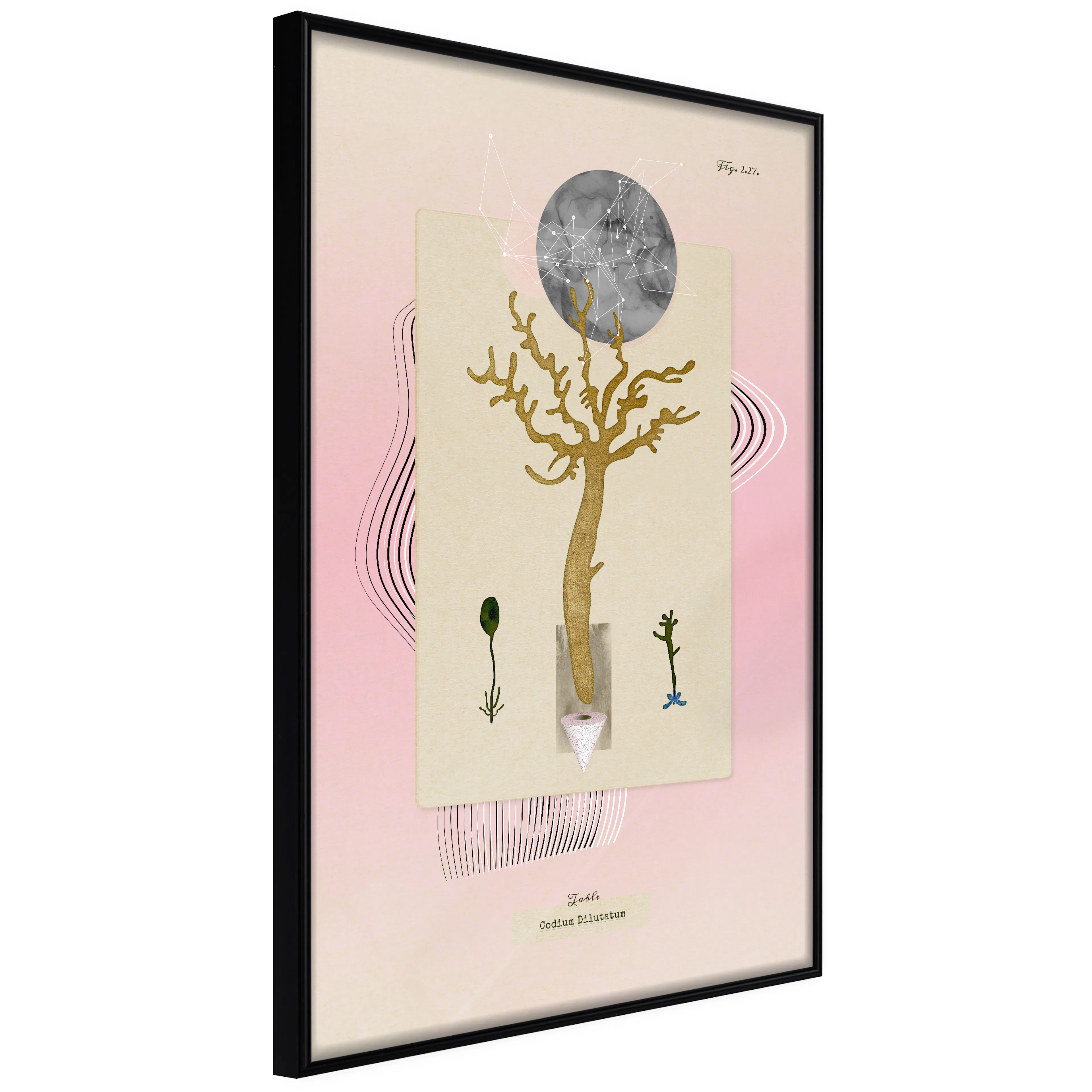 Affisch - Unusual Plant [Poster] 40x60 Svart ram, 40x60 cm
