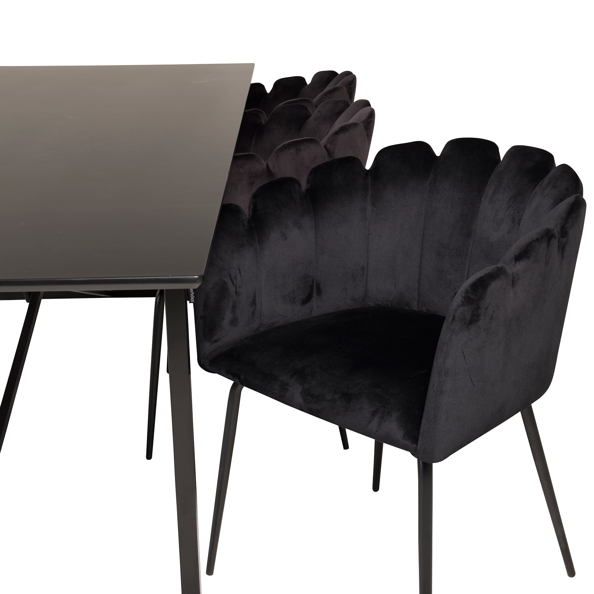 Matgrupp furniture/fashion Palaba med 6 Limhamn Stolar