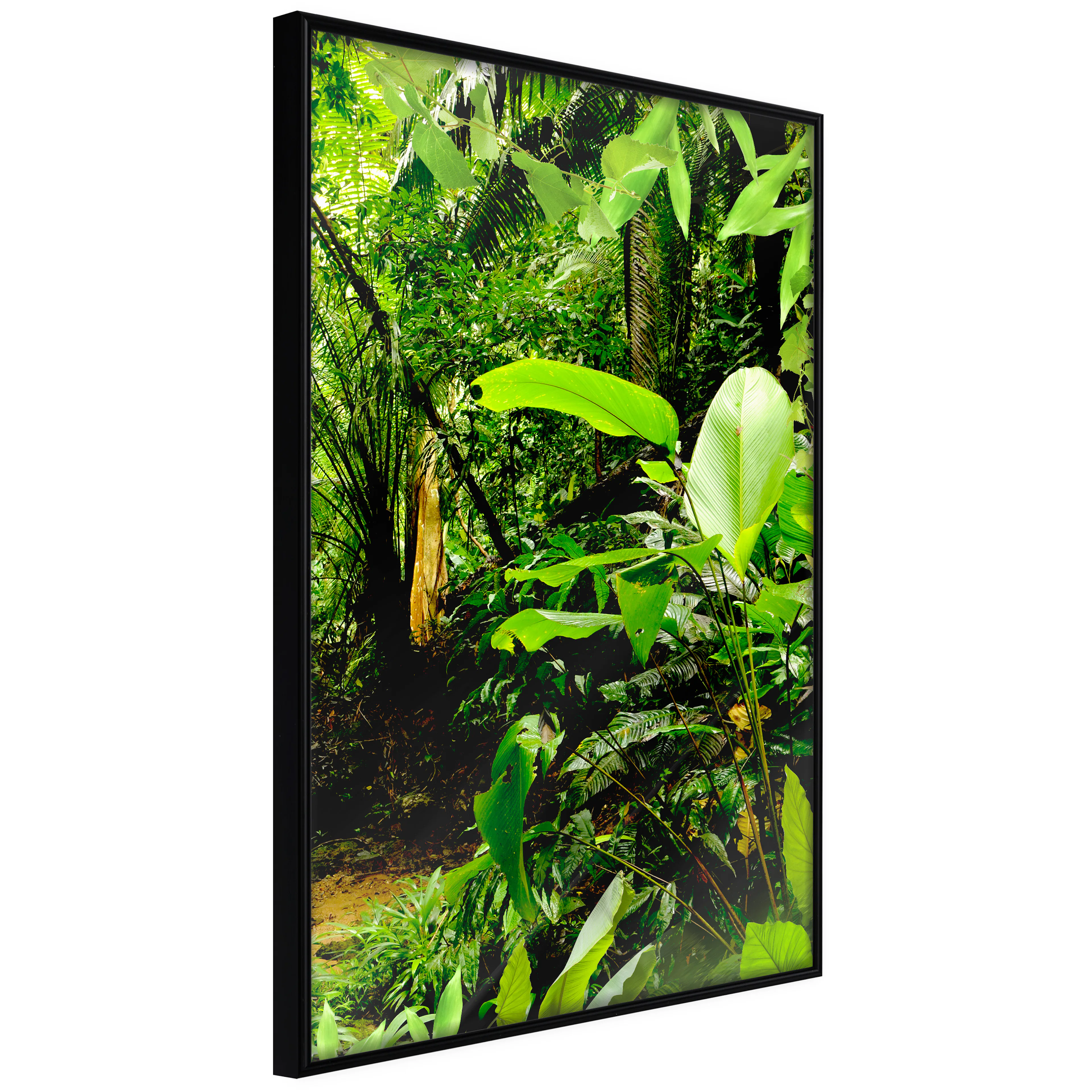 Affisch - Lungs of the Earth [Poster] 40x60 Svart ram, 40x60 cm