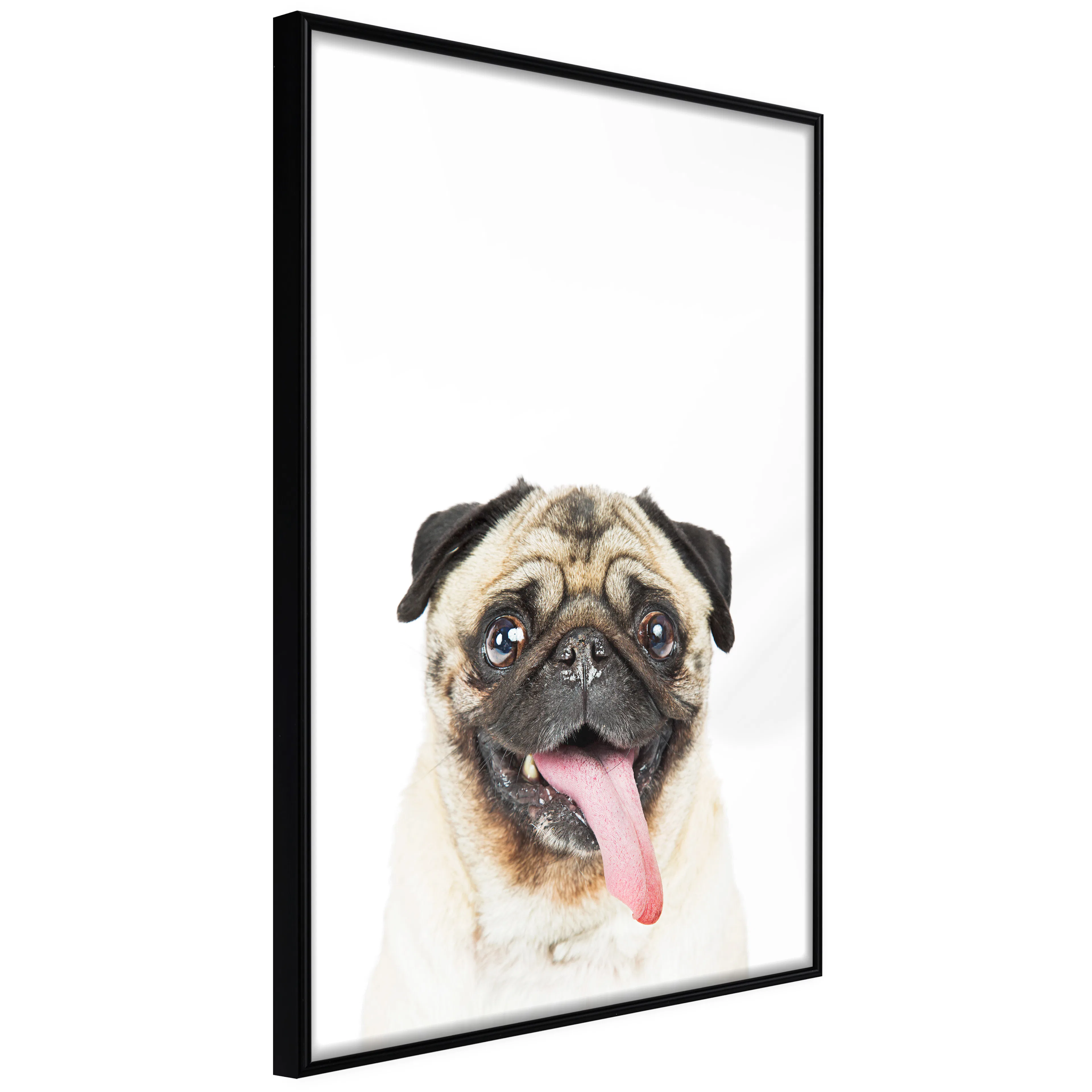 Affisch - Pug [Poster] 40x60 Svart ram, 40x60 cm