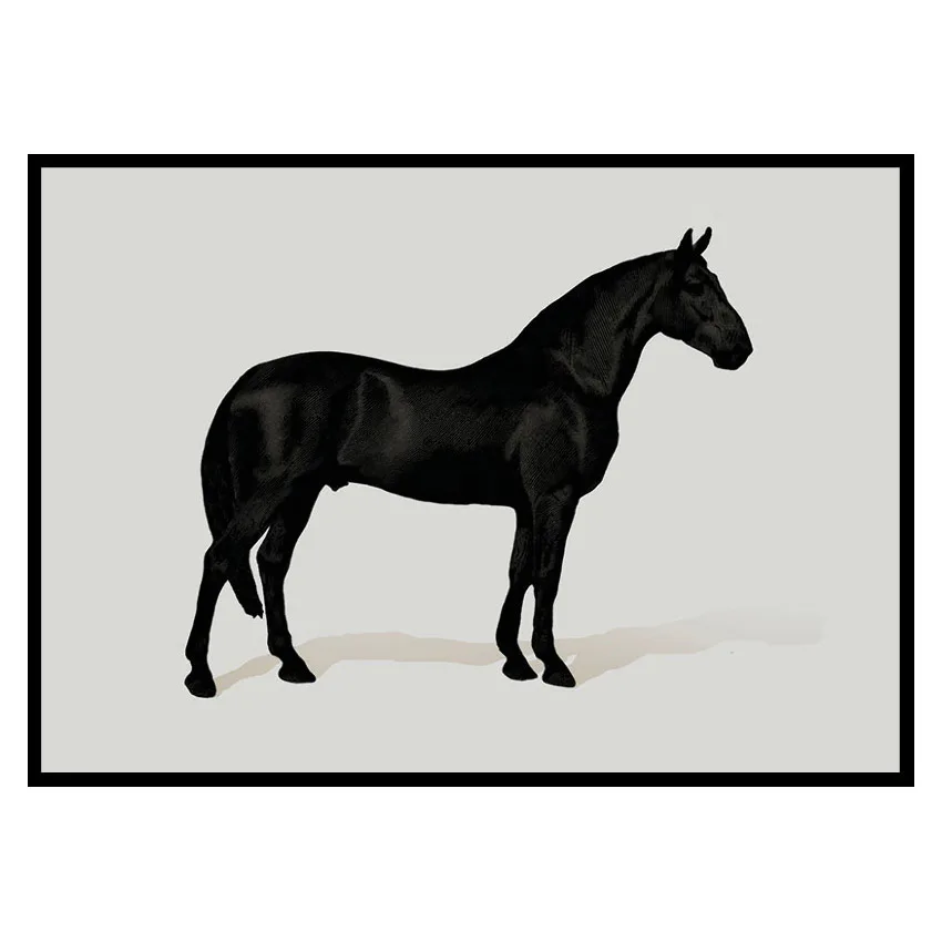 Poster Gallerix Black Horse Land. Drawing