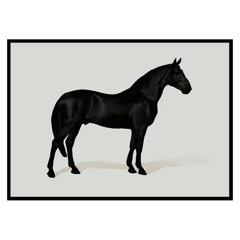 Poster Gallerix Black Horse Land. Drawing