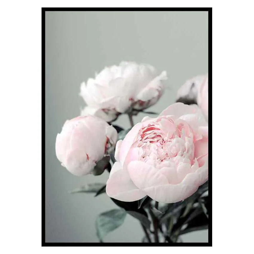 Poster Gallerix Pink peonies No1
