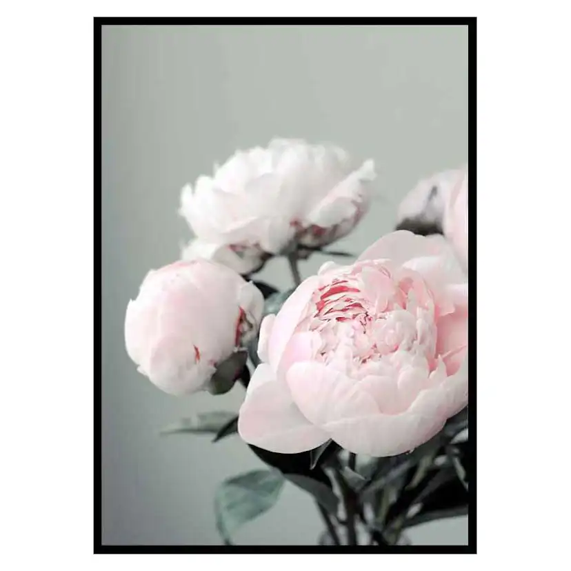 Poster Gallerix Pink peonies No1