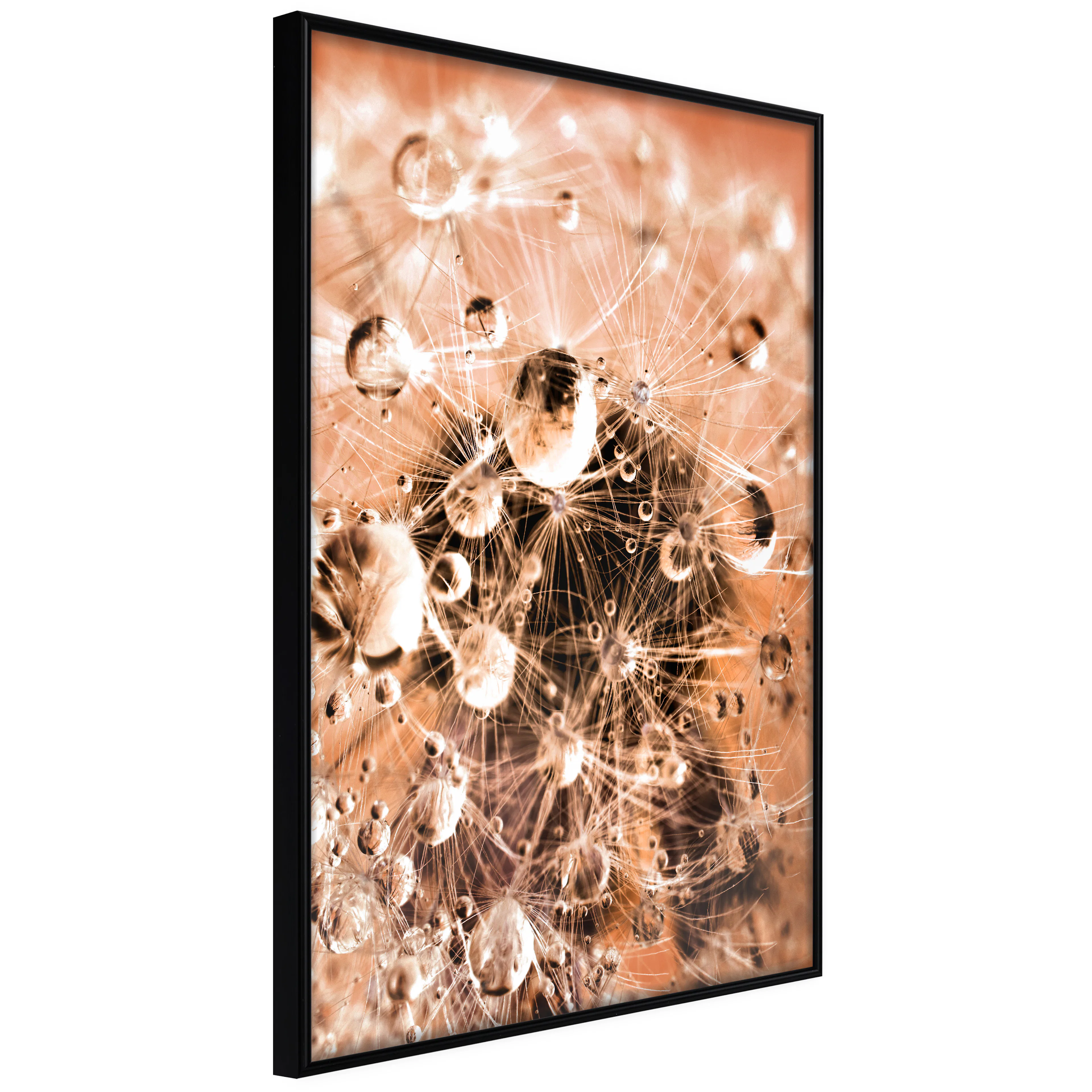 Affisch - Morning Moments [Poster] 30x45 Svart ram, 30x45 cm