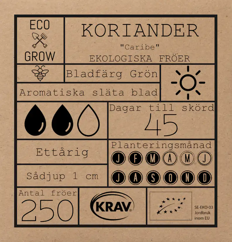 Fröpåse Eco Grow Koriander Coriandrum Sativum