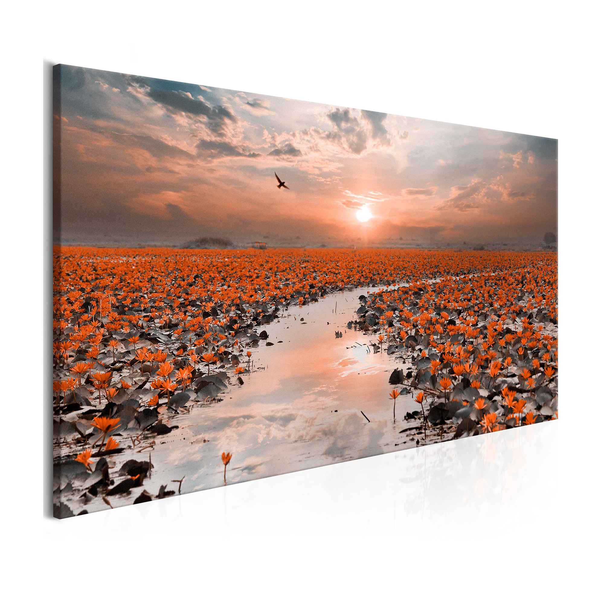 Tavla Arkiio Lily Pathway Wide 100x45