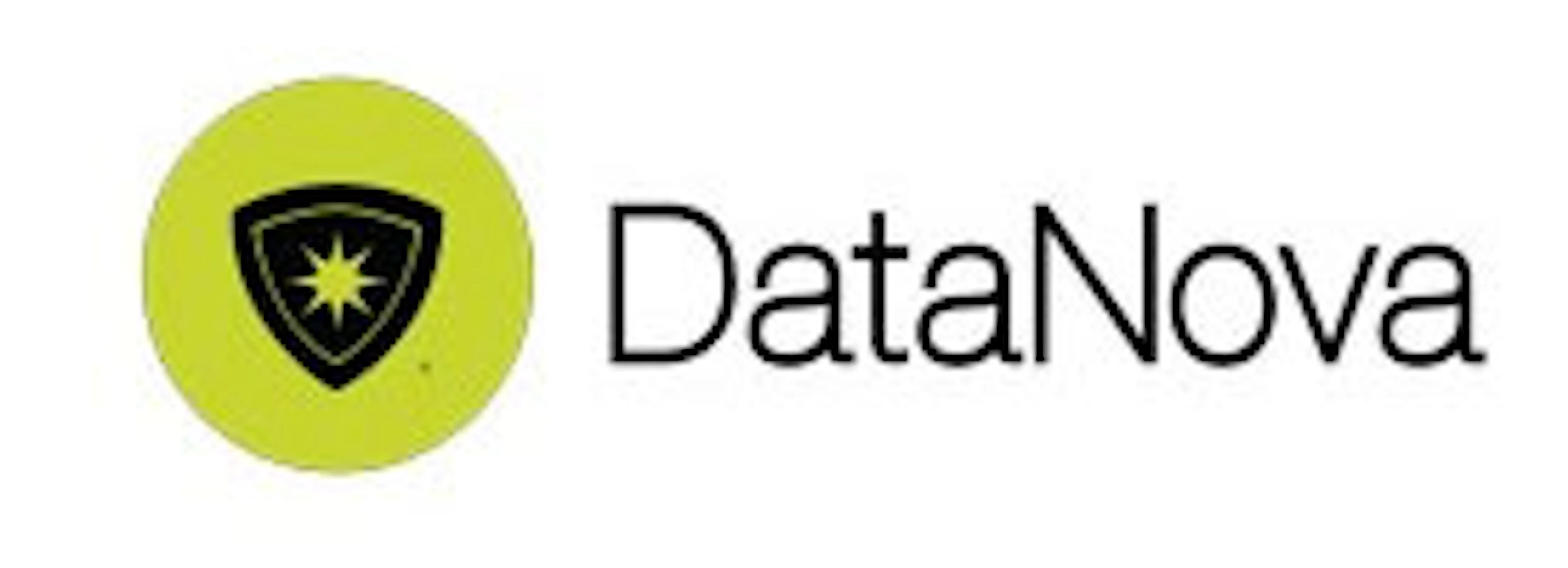 DataNova logo