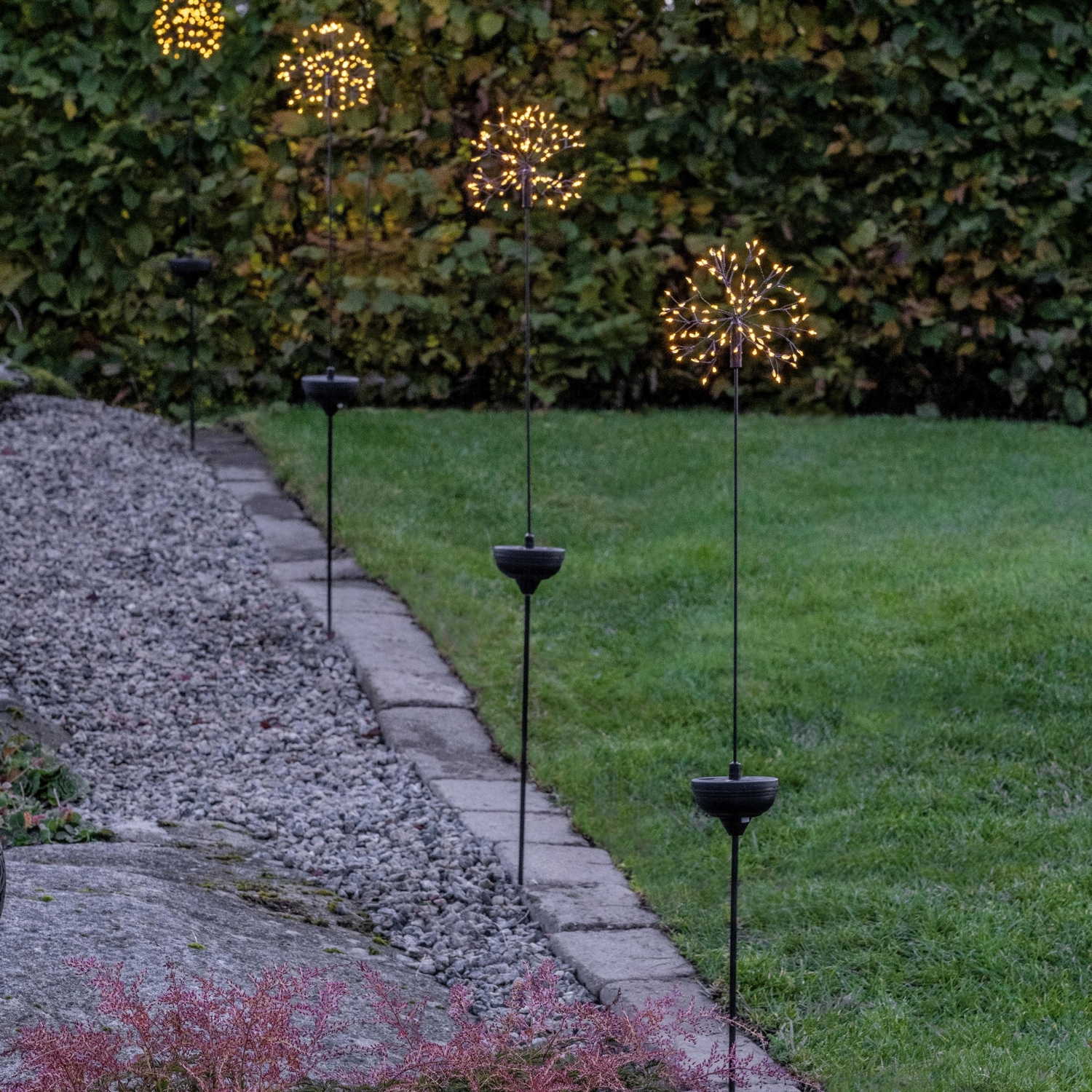 Solcellsdekoration Star Trading Dandelion Firework Twilight