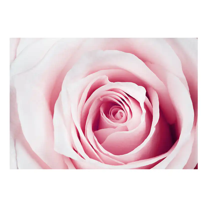 Fototapet Arkiio Rose Maze