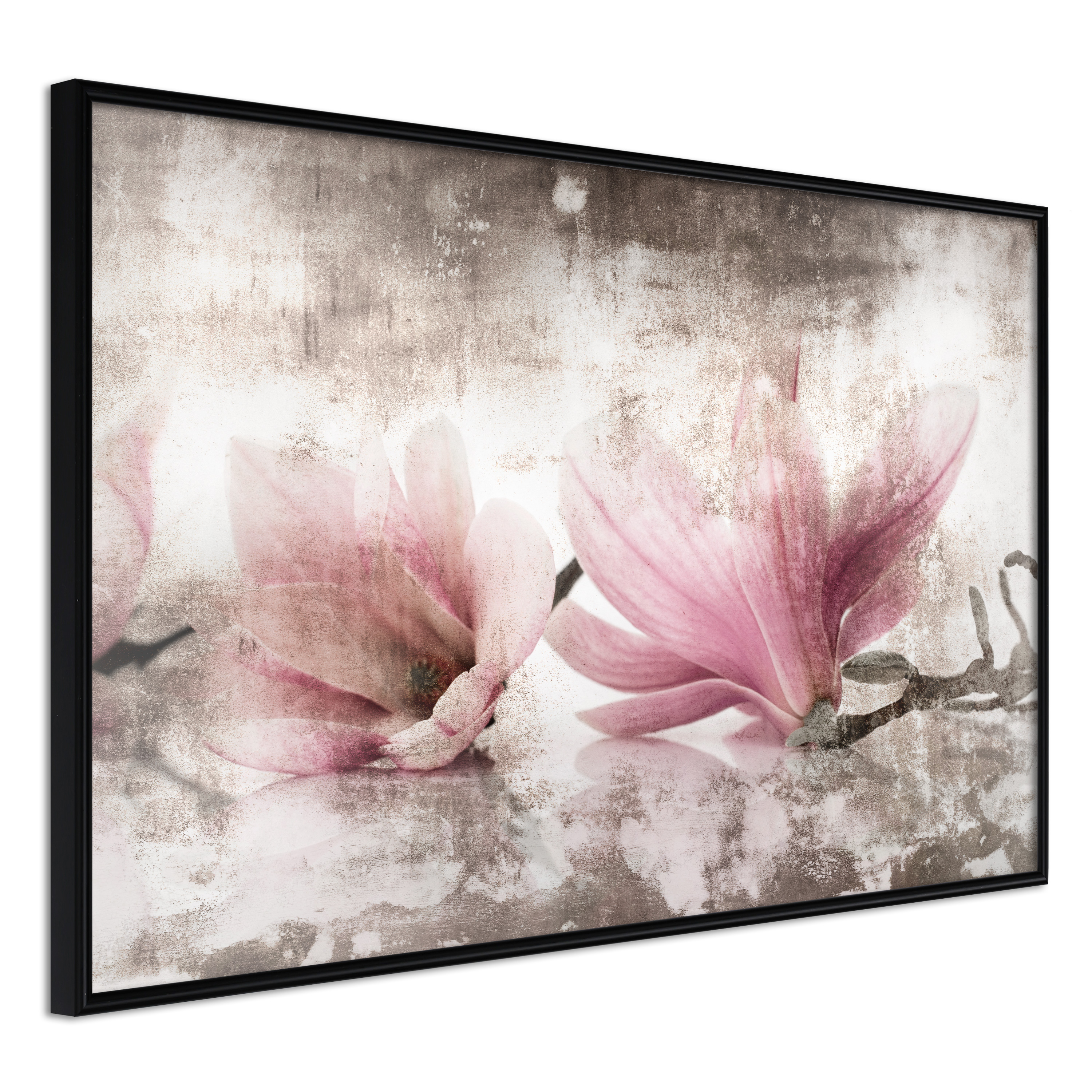 Poster Artgeist Affisch Magnolia Memory