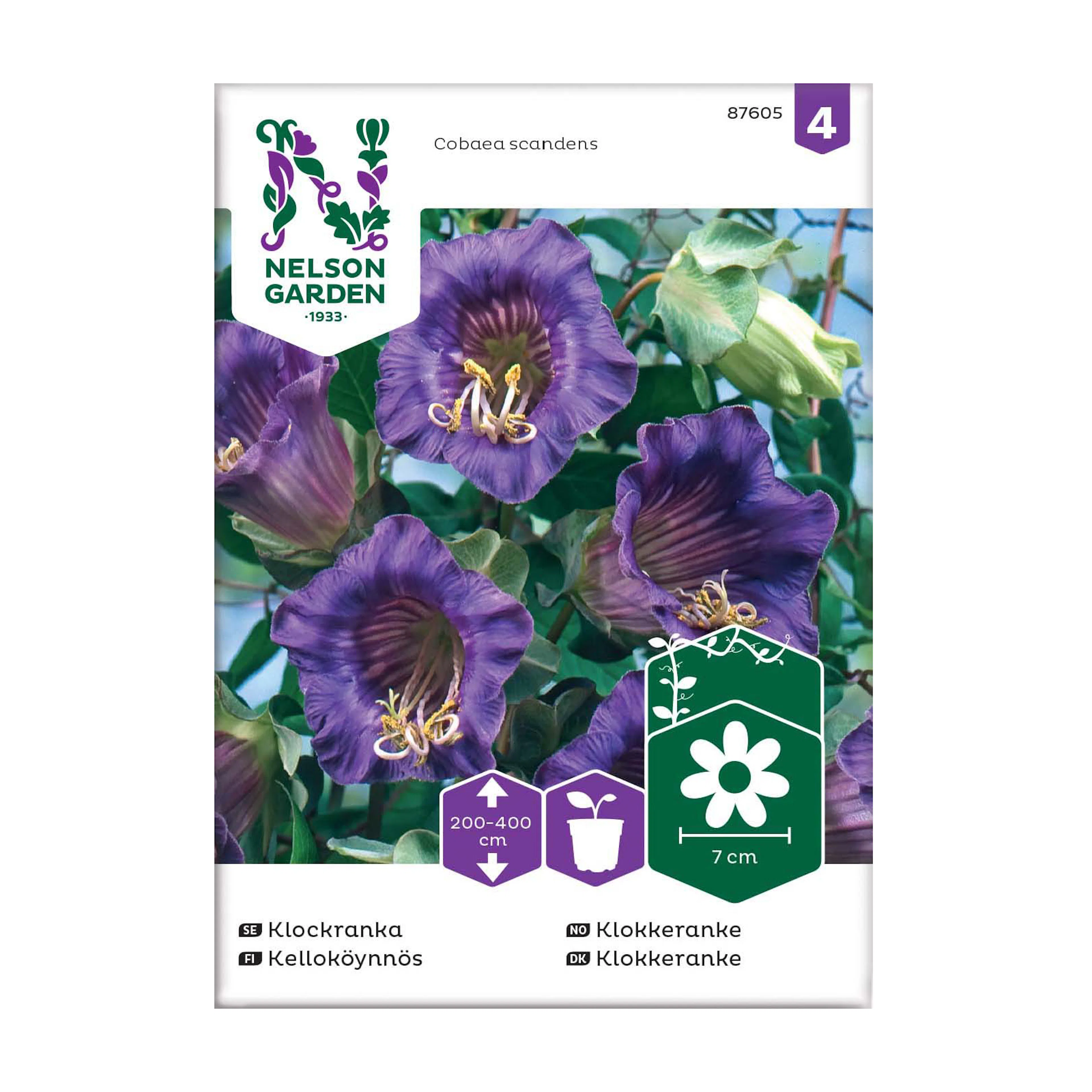 Frö Klockranka Nelson Garden Blå