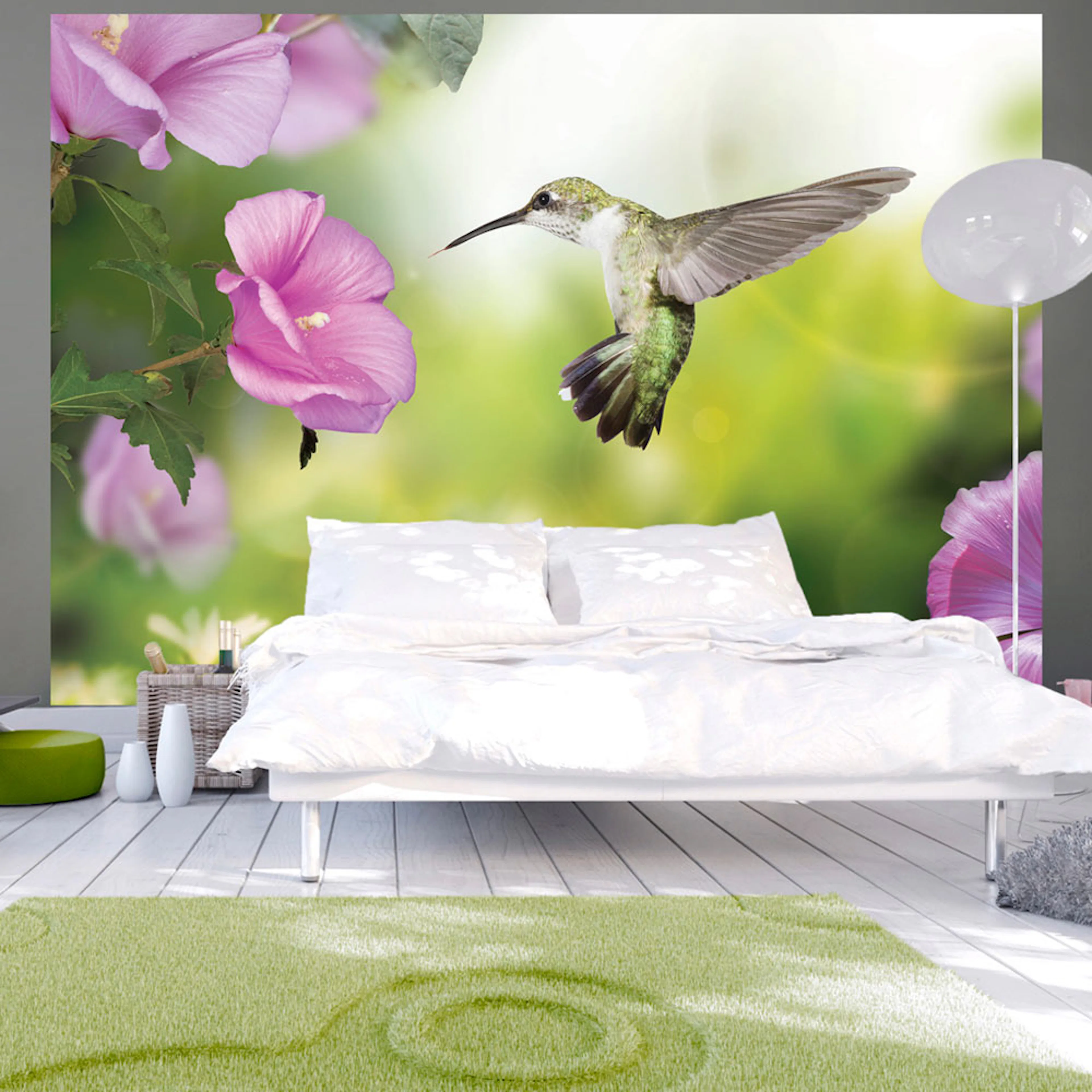 Fototapet Arkiio Humming Bird
