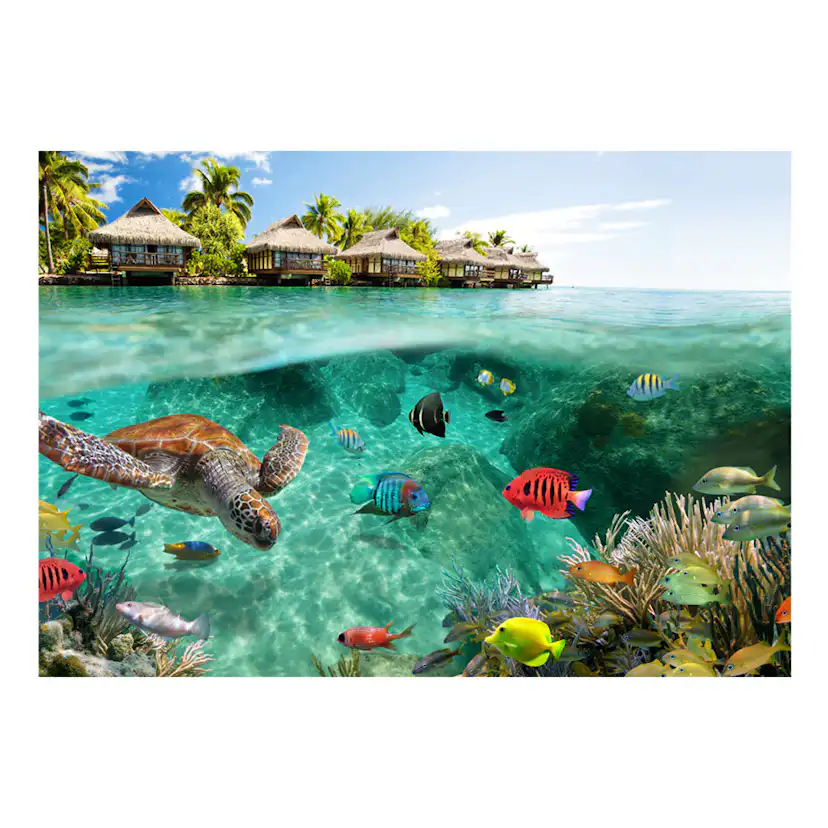 Fototapet Arkiio Under The Surface Of Water