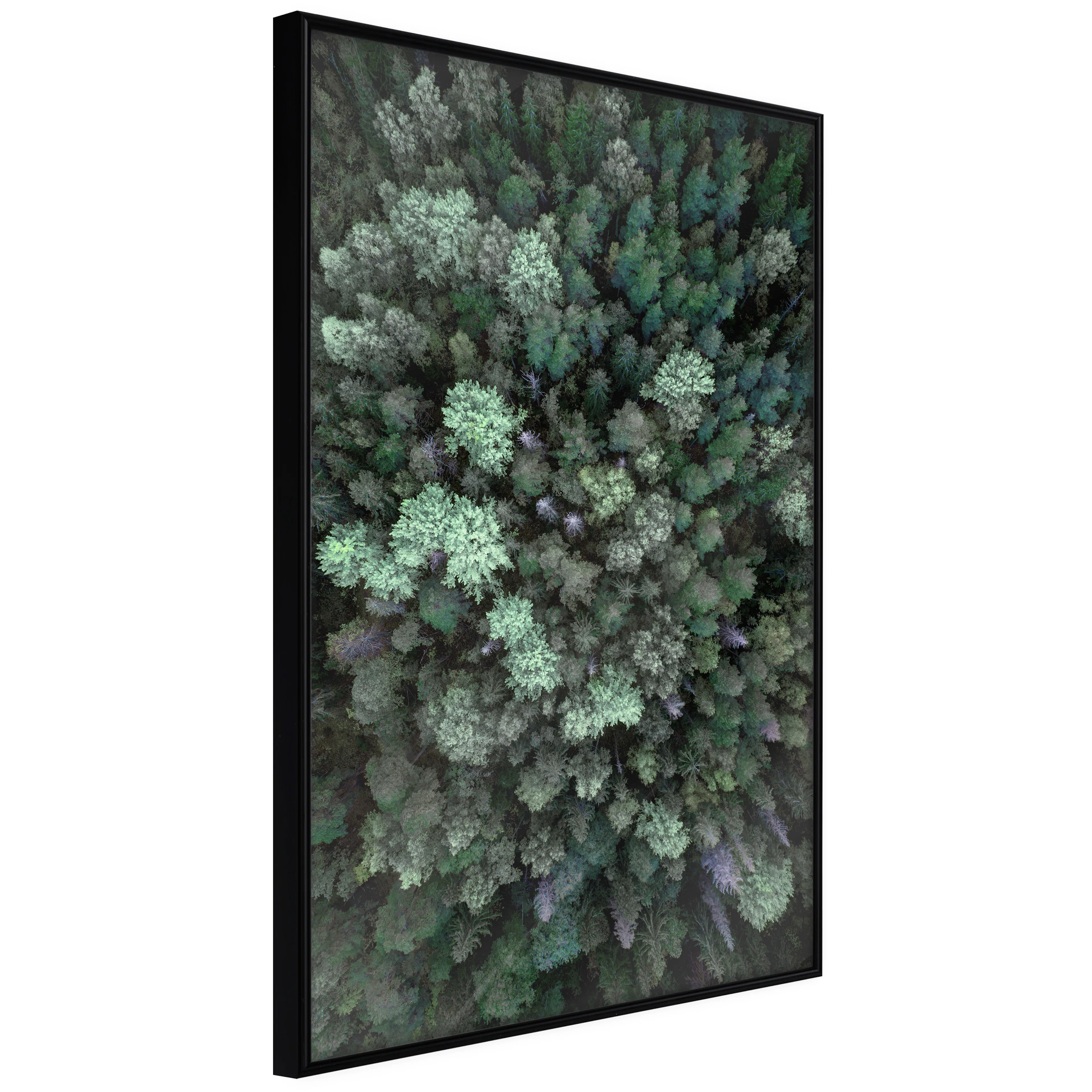 Affisch - Flying Over Forest [Poster] 20x30 Svart ram, 20x30 cm