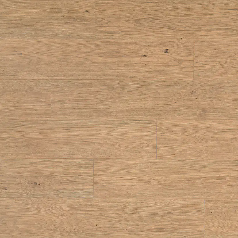 Laminatgolv Tenfors Oak Toffee 8 mm, 1-stav