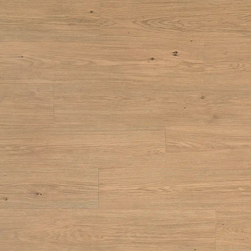 Laminatgolv Oak Toffee 8 mm, 1-stav