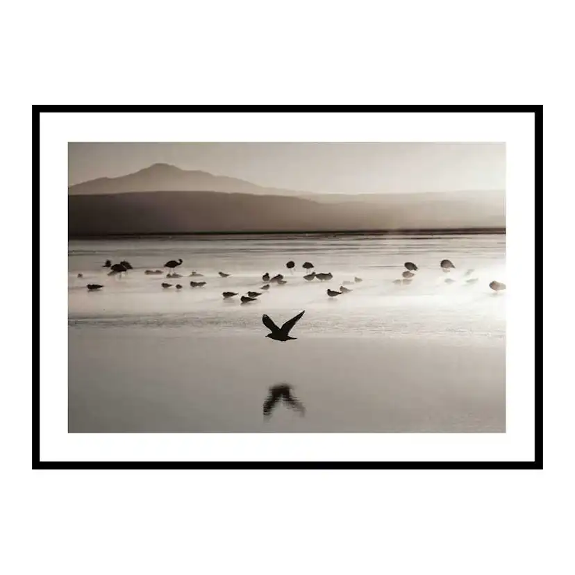 Poster Gallerix Birds In Nature Water