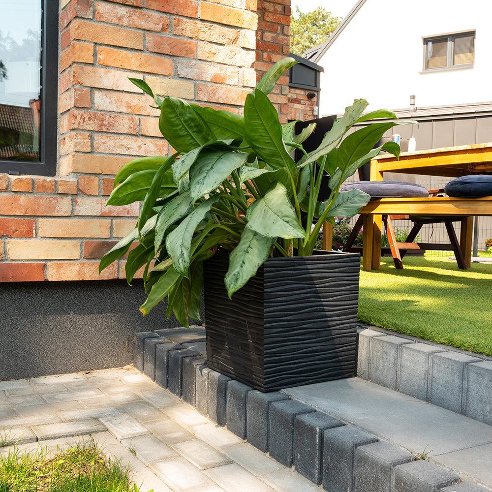 Blomkruka Recal Serenity
