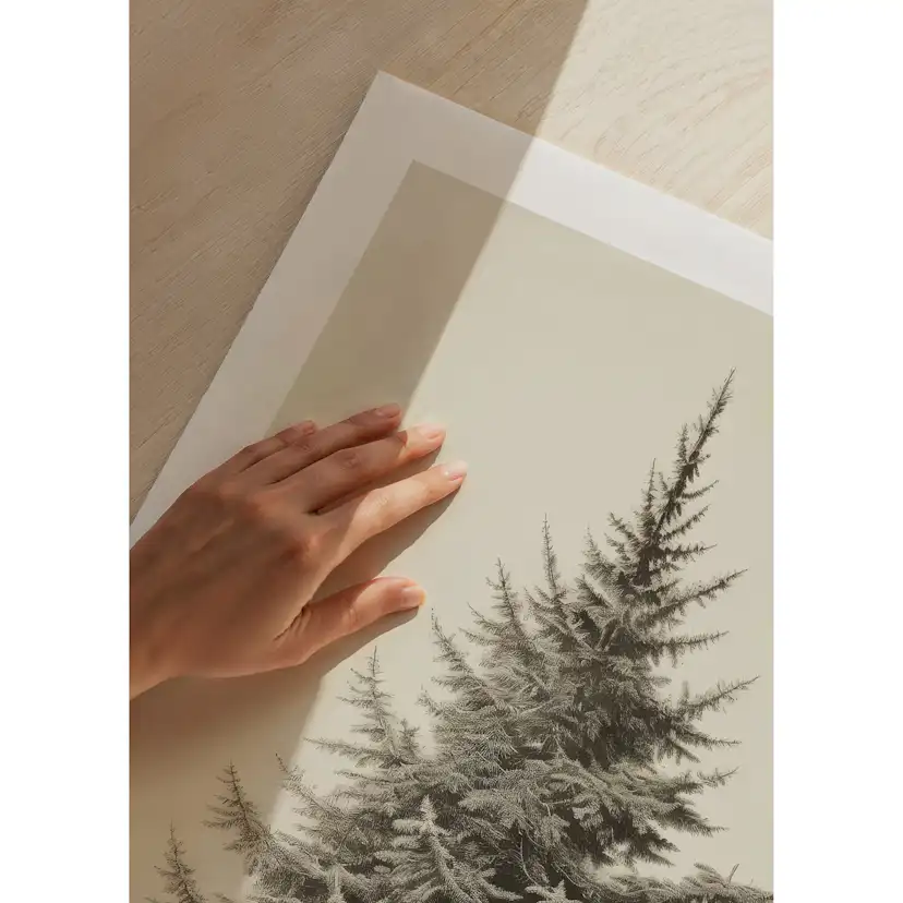 Poster Gallerix Vintage Fir Tree