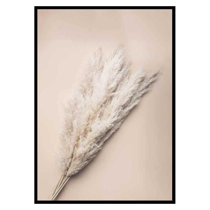 Poster Gallerix Pampas Grass