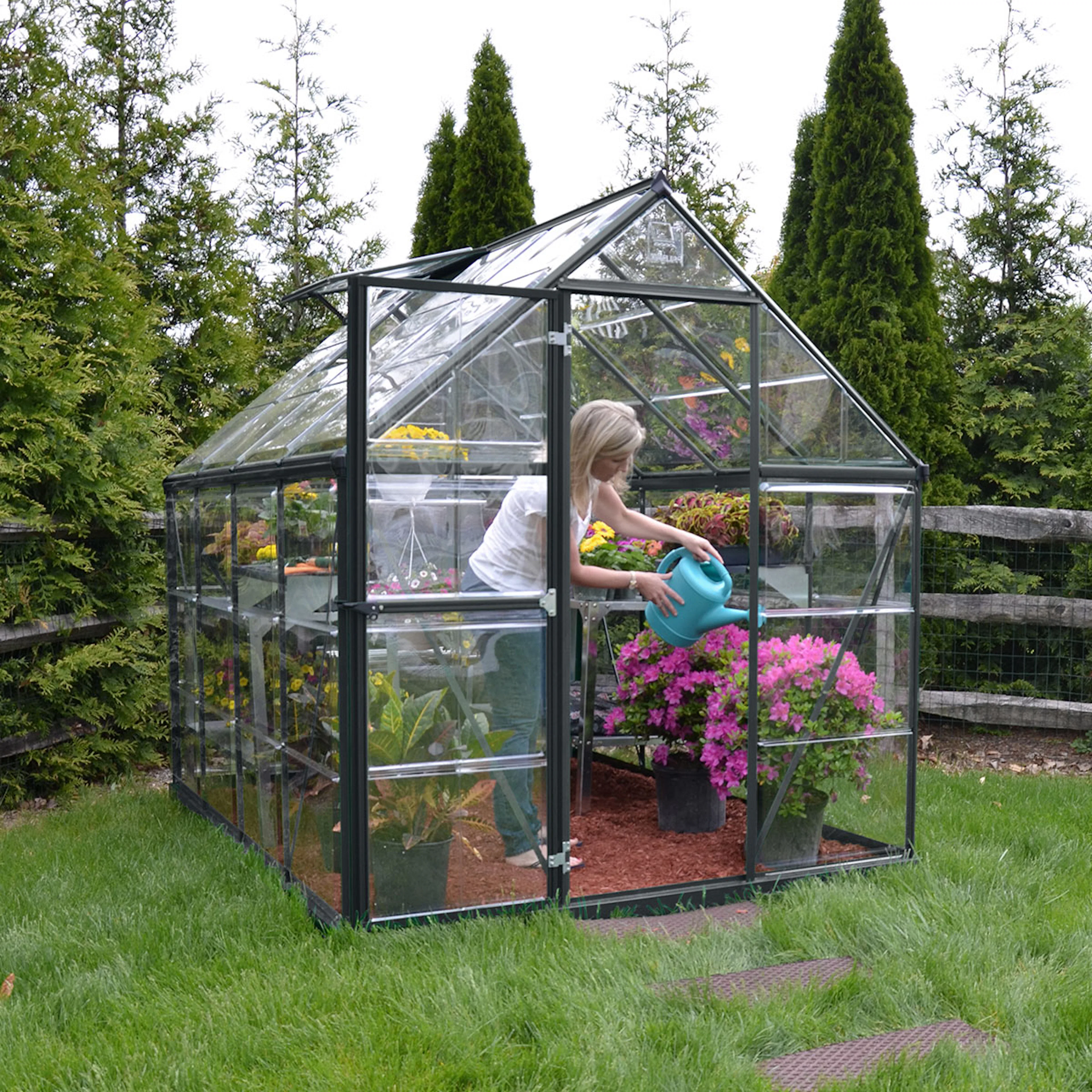 CANOPIA  HARMONY 6X8 GREENHOUSE GREY CLEAR Mörkgrå