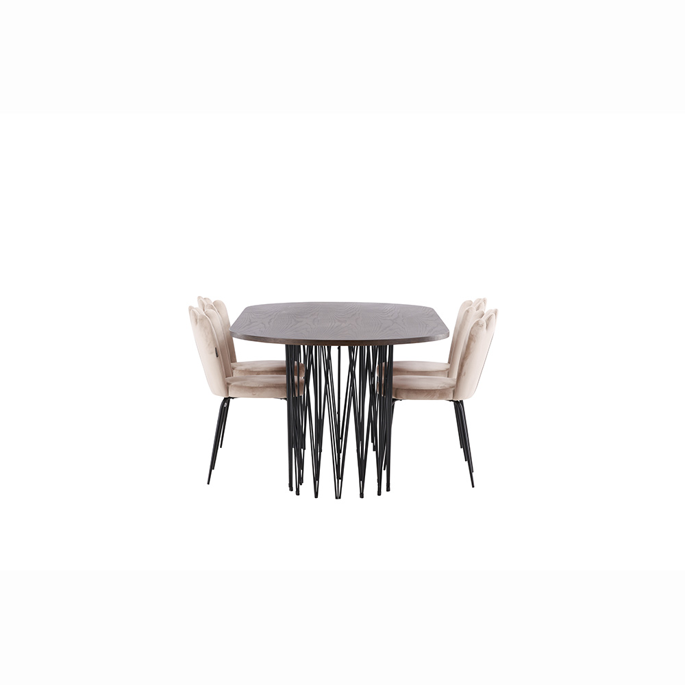 Matgrupp furniture/fashion Stone med 4 Limhamn Light Stolar