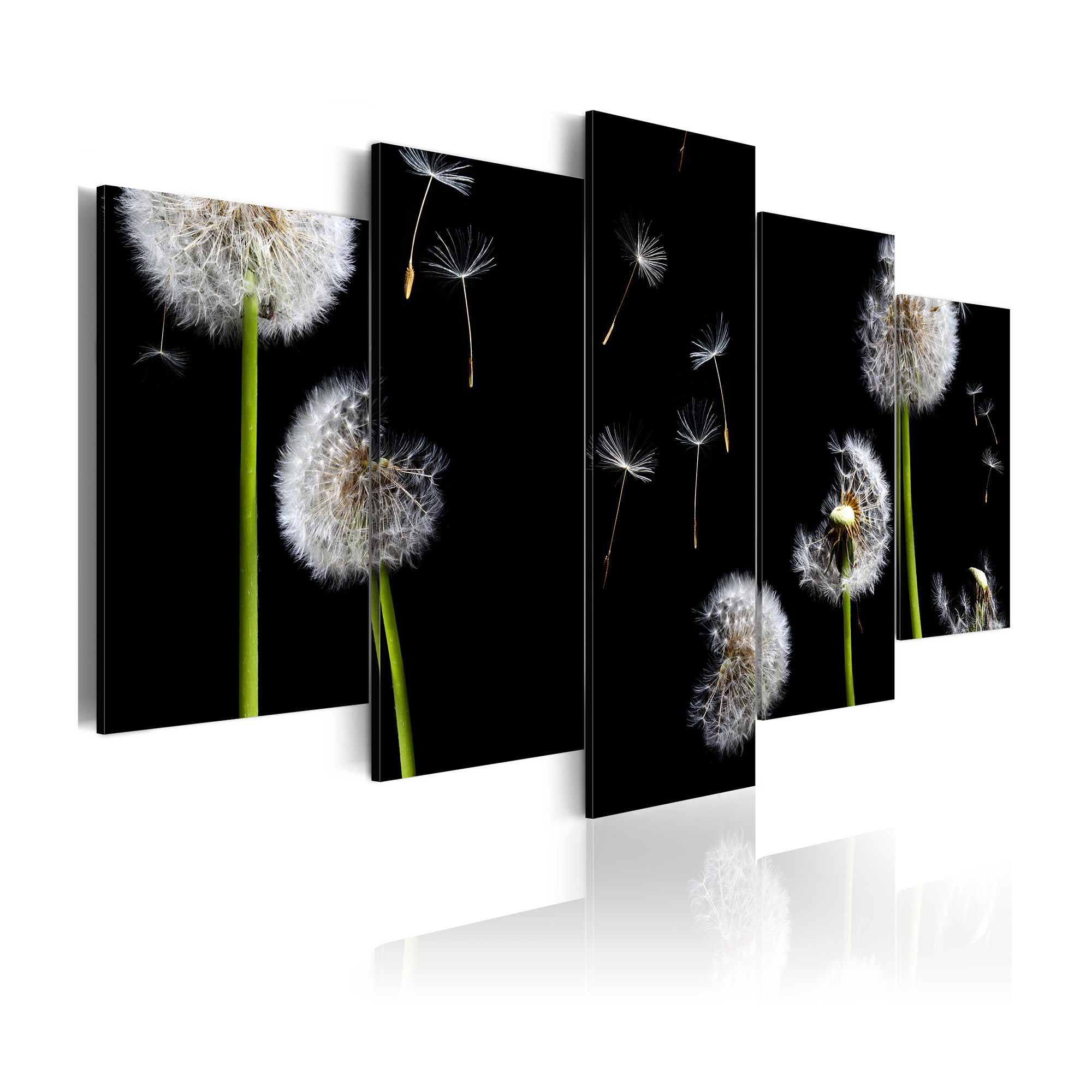 Tavla Arkiio Dandelion Towards Freedom