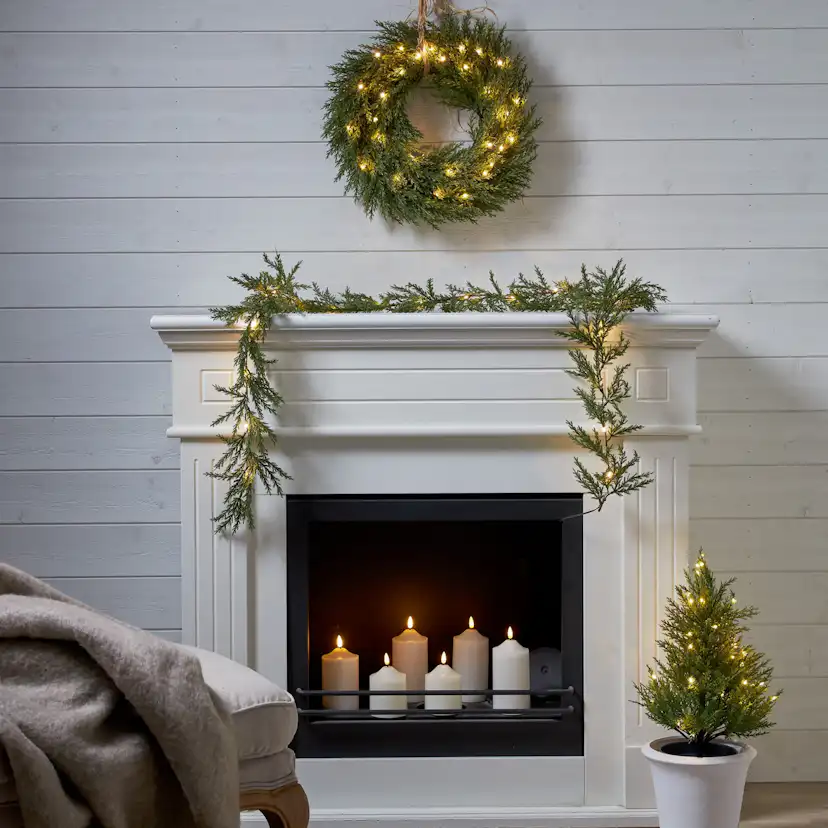 Krans Star Trading Thuja 45 cm 30L bo