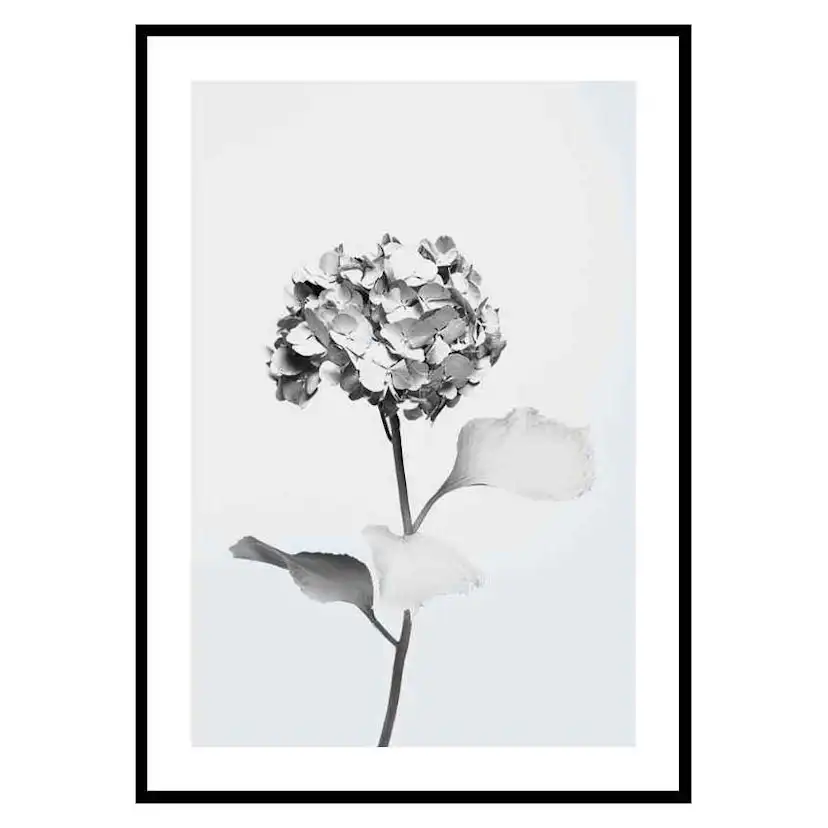 Poster Gallerix White Painted Flower