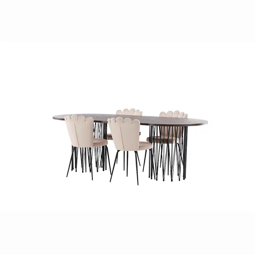 Matgrupp furniture/fashion Stone med 4 Limhamn Light Stolar