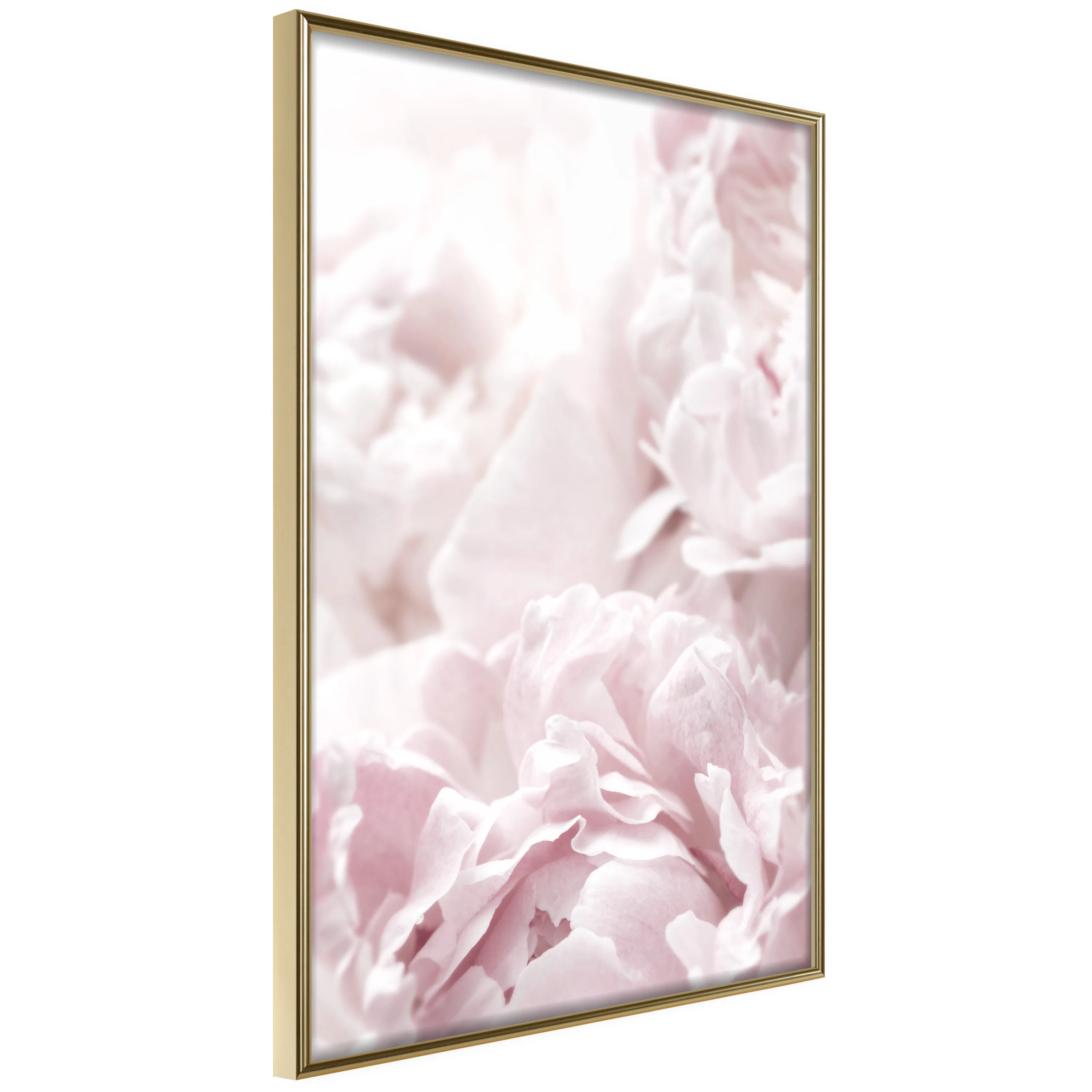 Poster Artgeist Affisch Fluffy Peonies
