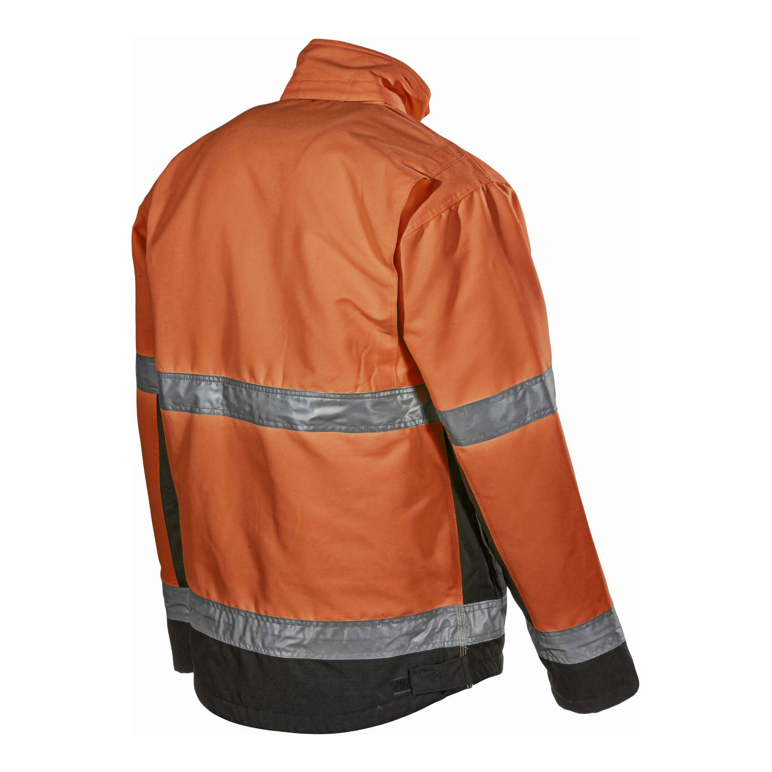 Jacka L.Brador 204PB