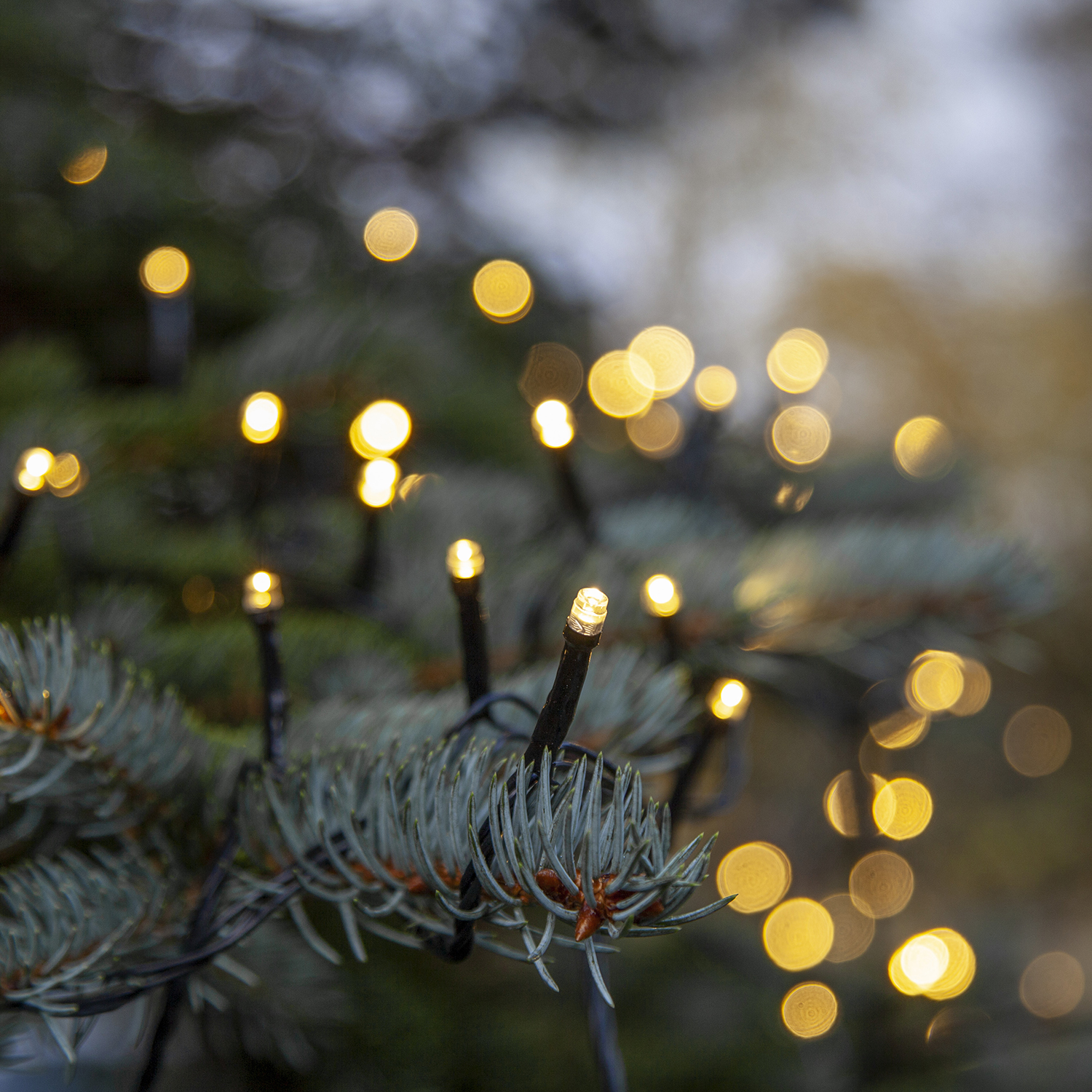 Ljusslinga Star Trading Start System Decor 100L