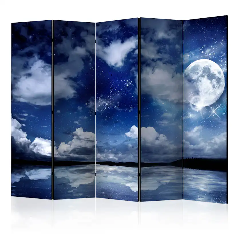 Rumsavdelare Arkiio Magic Night II 225x172 cm