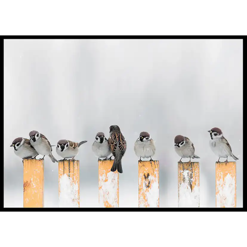 Poster Gallerix Willow Finches