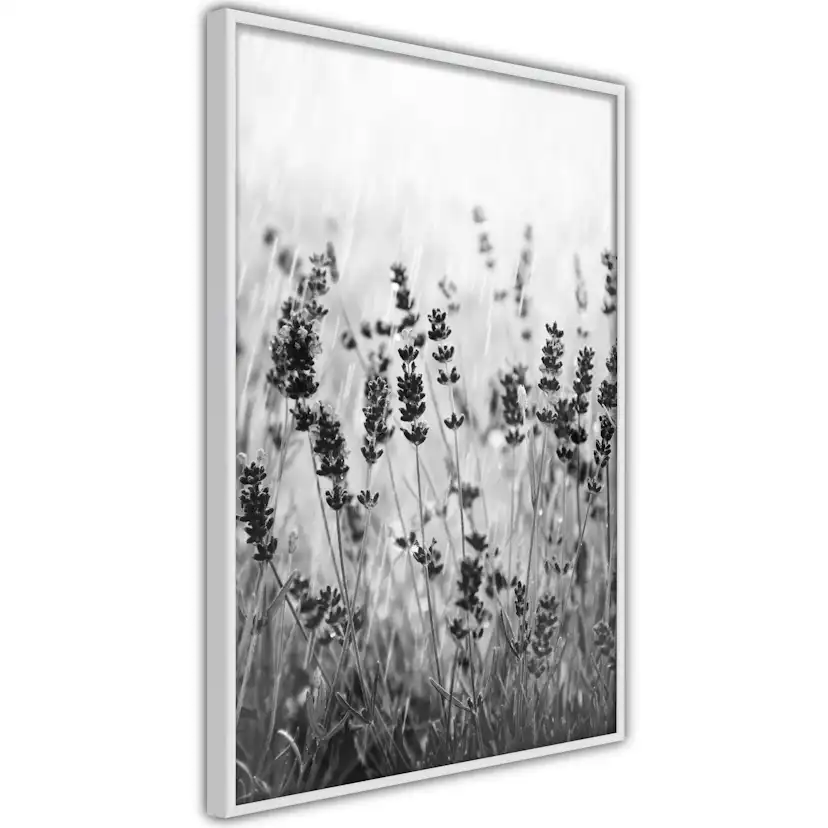 Poster Artgeist Affisch Lavender in the Rain