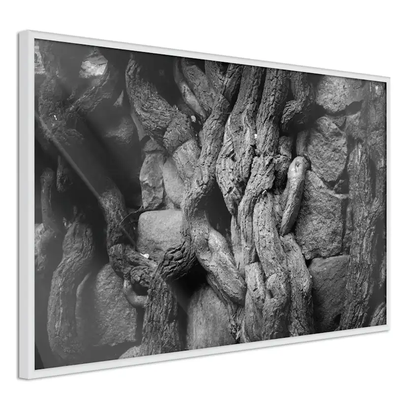 Poster Artgeist Affisch Overgrown Stones