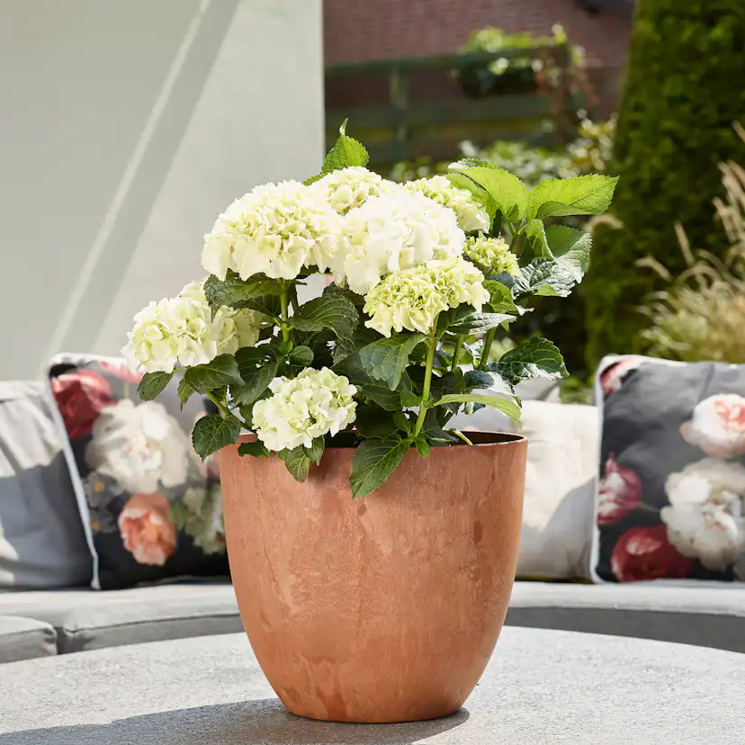 Kruka ArtStone Bola Brun 33 x 29 cm