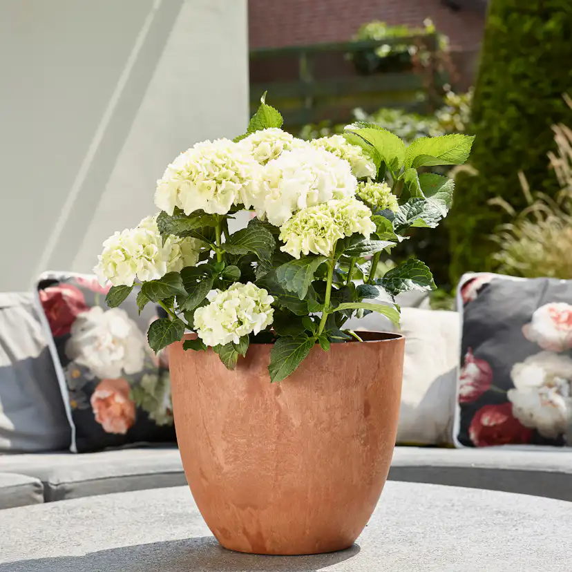 Kruka ArtStone Bola Brun 33 x 29 cm