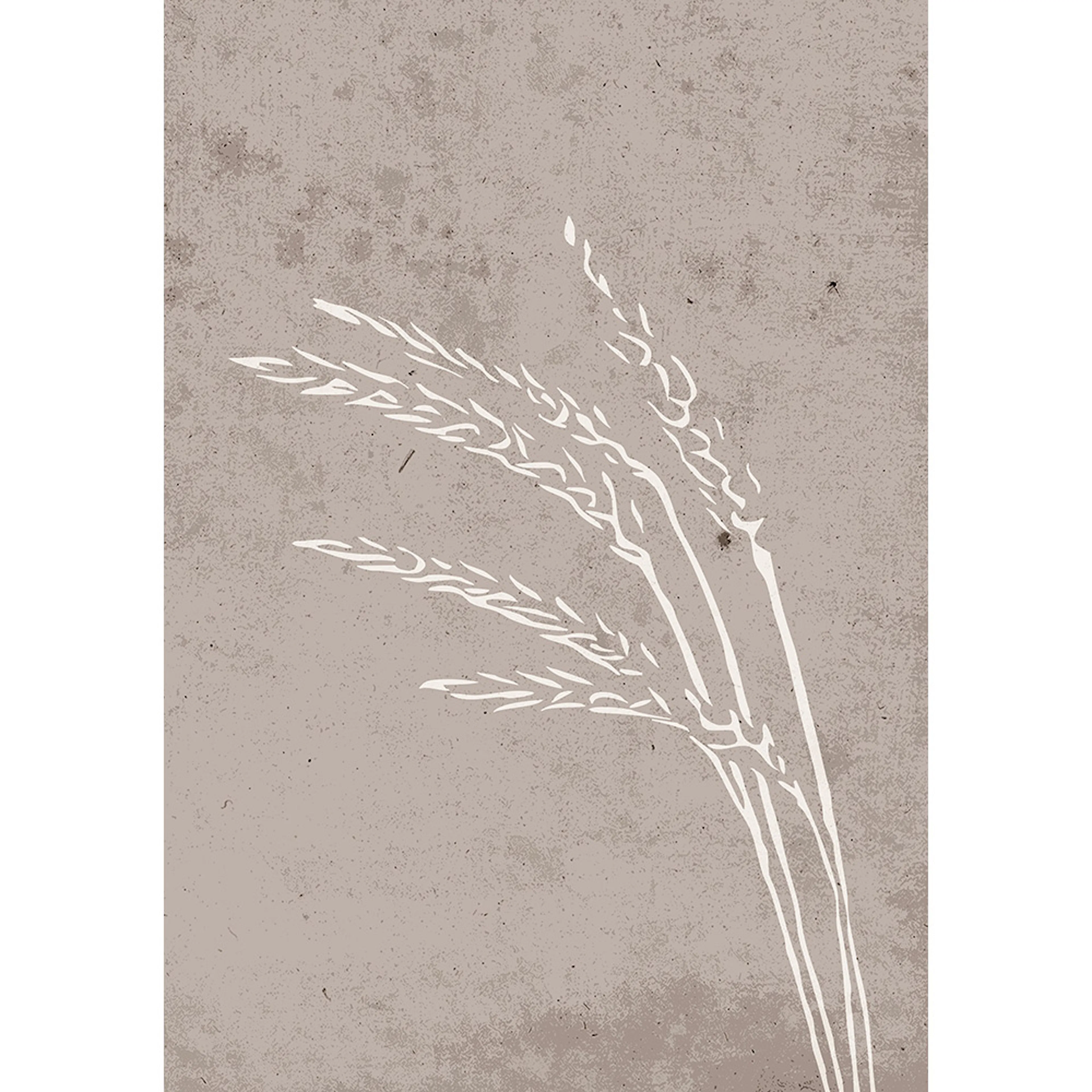 Posters Venture Home Seeds Beige