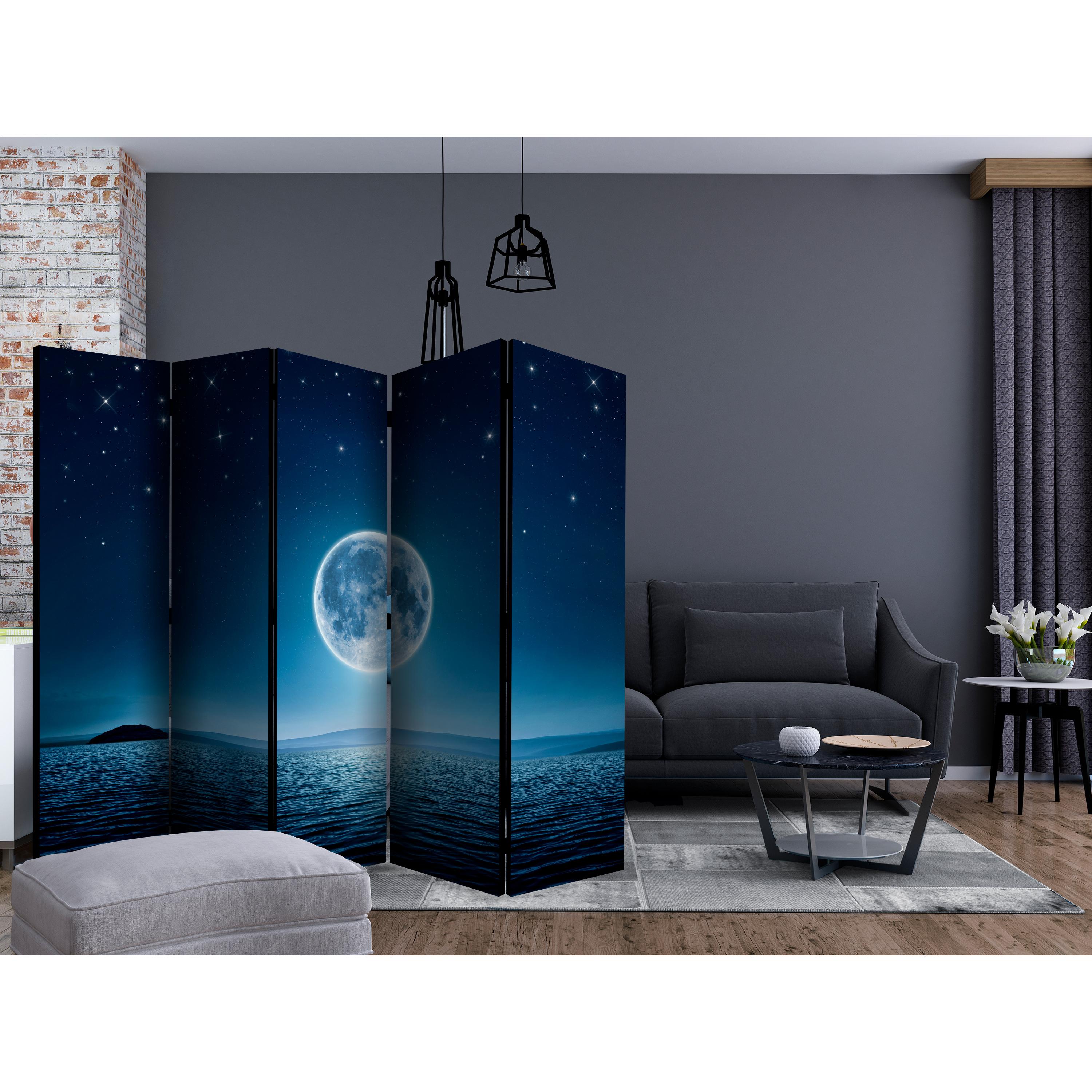 Rumsavdelare Arkiio Moonlit Night II 225x172 cm