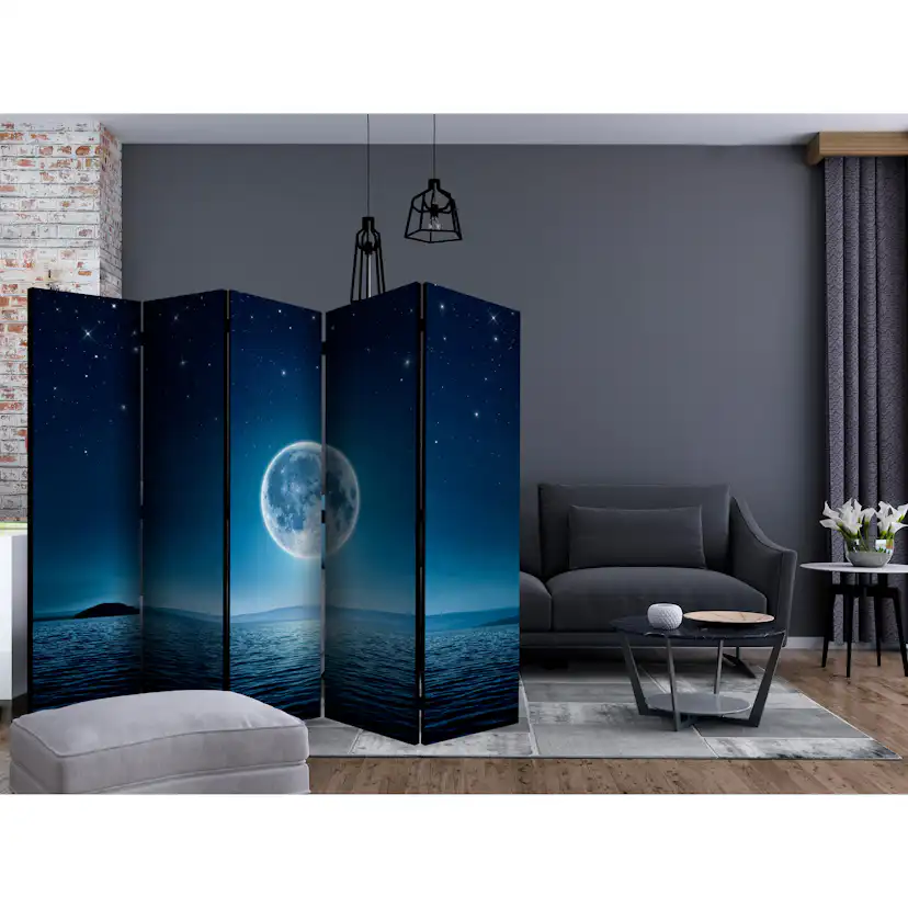Rumsavdelare Arkiio Moonlit Night II 225x172 cm